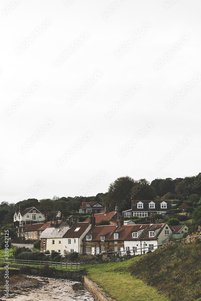 Generic British countryside village houses on an overcast day with copy space above.