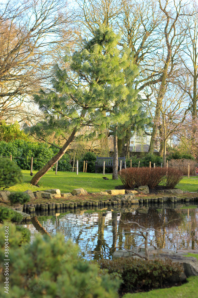 japanese garden with bridge