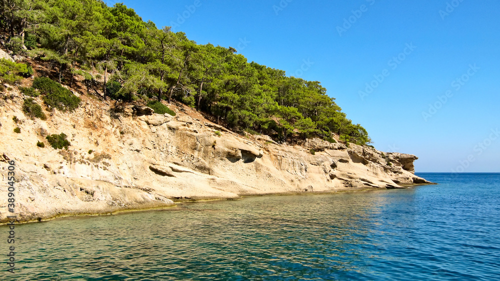 Rock with trees on the shore of the Mediterranean Sea