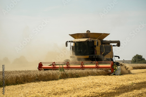 Combine harvester agriculture machine harvesting golden ripe wheat field. Agriculture. Combine harvester harvesting wheat with dust straw in the air. Heagy agricultural machinery. © Volodymyr