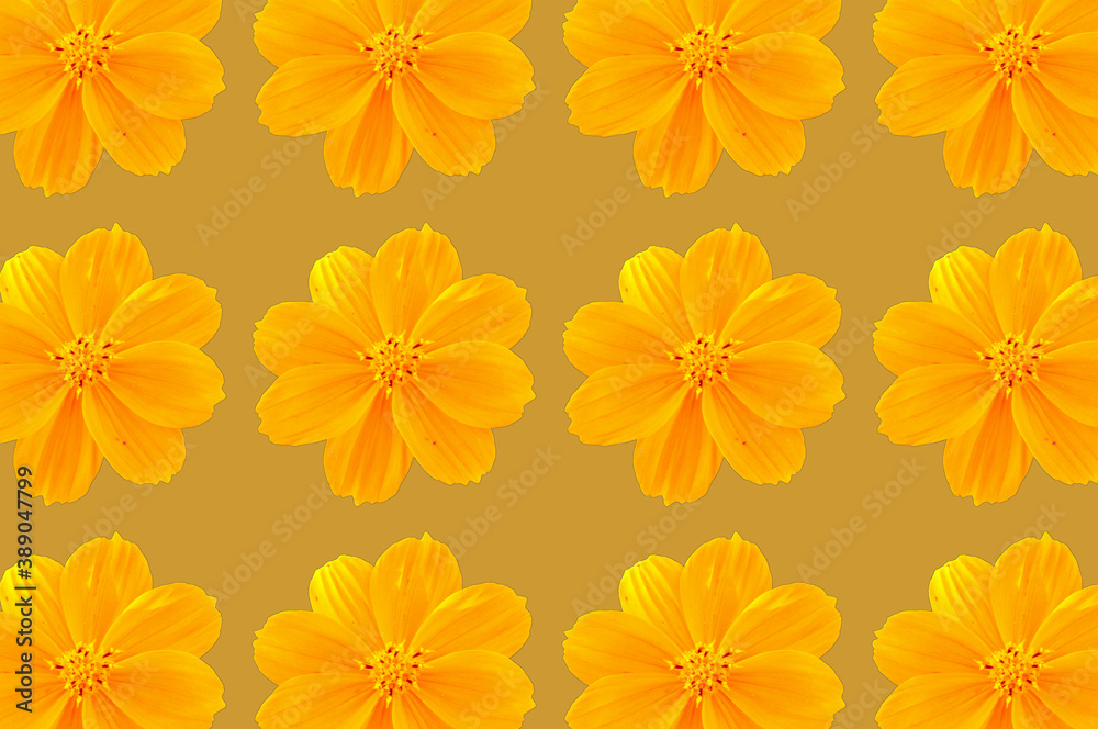 yellow flower and gold background pattern