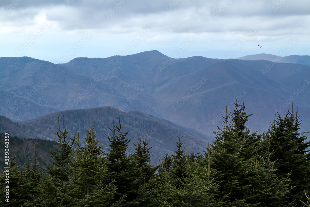 Blue Ridge Mountain Vista in North Carolina