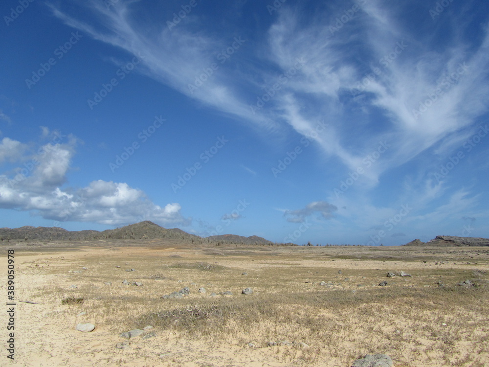 Slagbaai nationalpark in Bonaire, Dutch Caribbean, Scenery with blue sky and some clouds. Template for design of holiday greetings, decoration packaging, postcard, poster