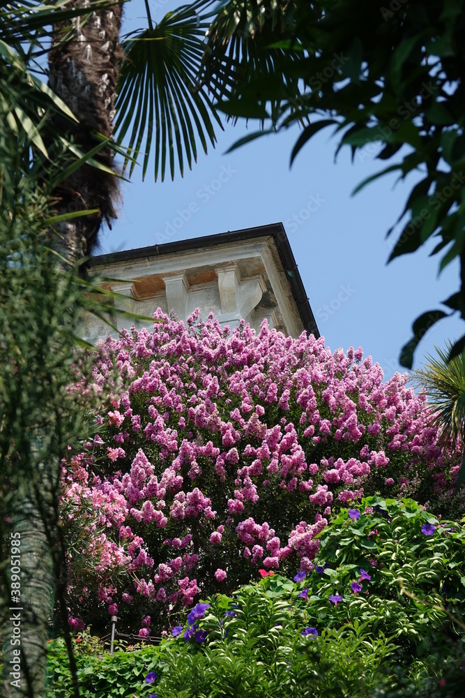 Gärten auf der Isola Madre, Lago Maggiore