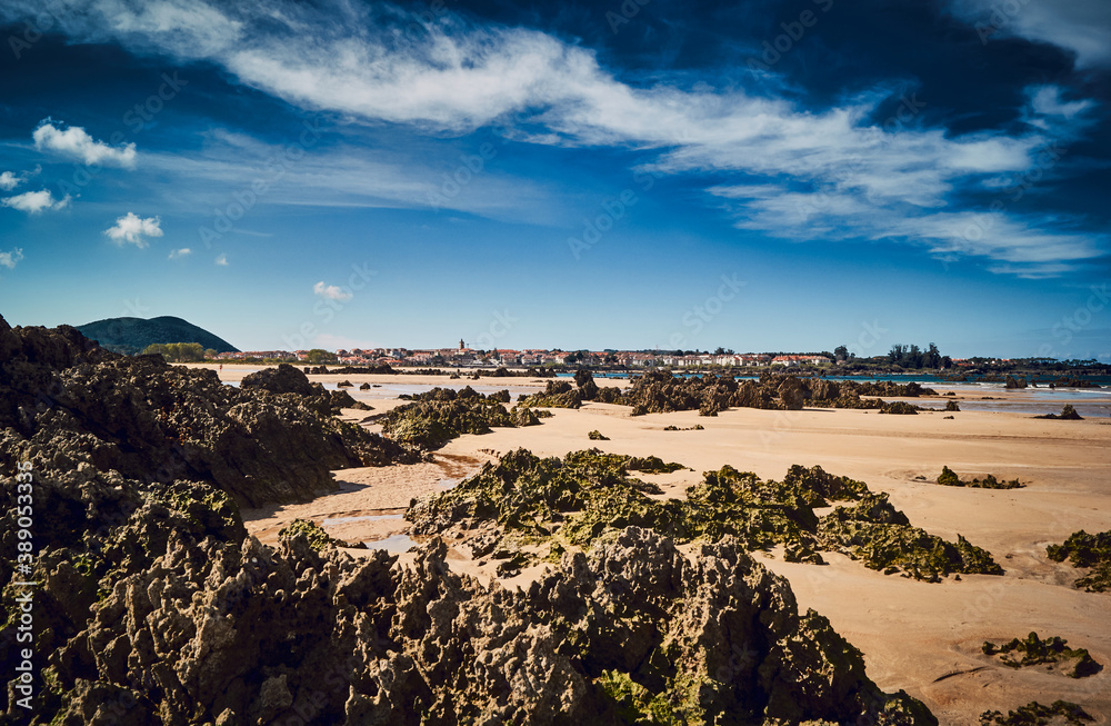 Obraz premium summer and sea
