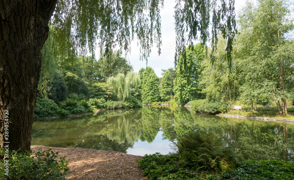 Summer landscape of a picturesque green park in Amsterdam. Summer landscape of a picturesque green park in Amsterdam.