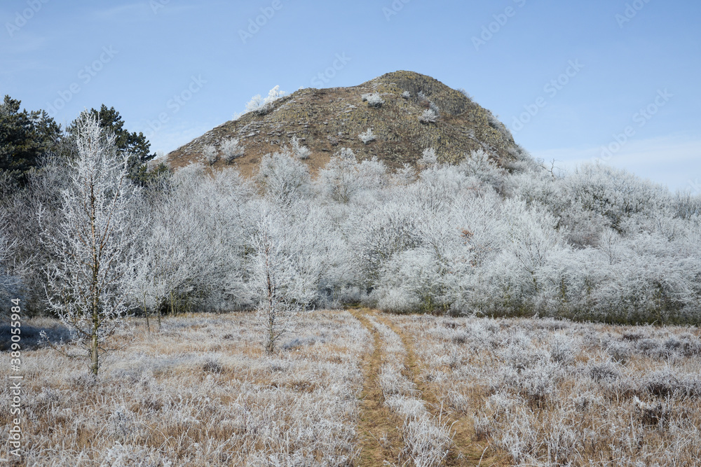 Winter in Central Bohemian Uplands, Czech Republic. Frozen landscape. Central Bohemian Highlands. Frozen flora. Winter season in Czechia. Misty morning. 