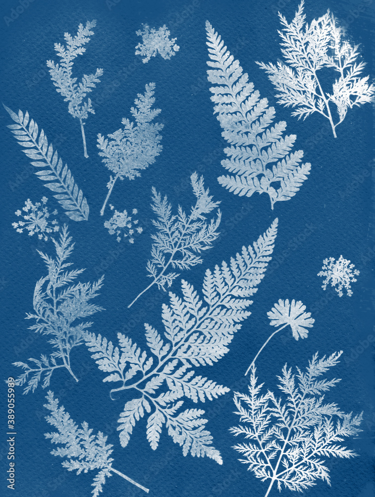 Flower Cameo, Maidenhair Fern, Cyanotype Art, 5x7 Watercolor Paper