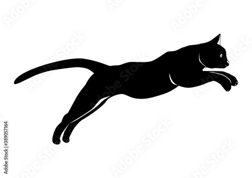Jumping cat. Black and white silhouette of a jumping cat. Flat vector.