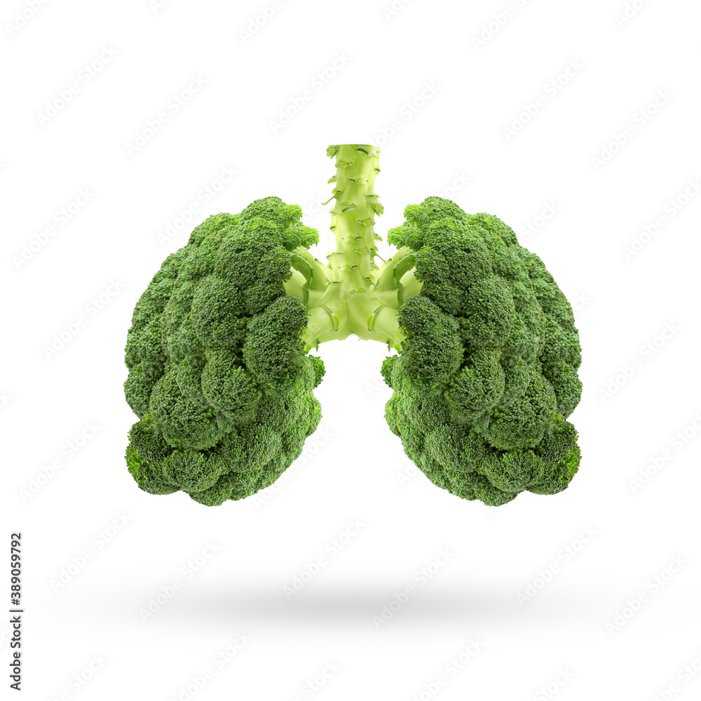 Conceptual image of green broccoli shaped like human lungs, Green