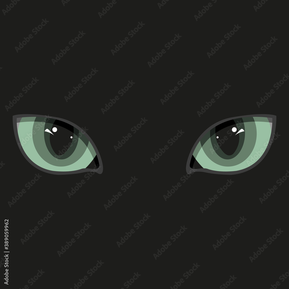 Cat eyes on a black background. Simple flat vector illustration