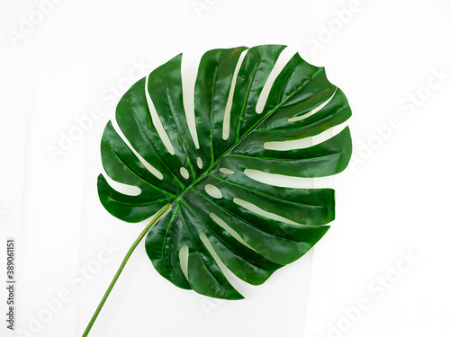 artificial green tropical jungle Monstera leaves on white drape background, leaf decoration