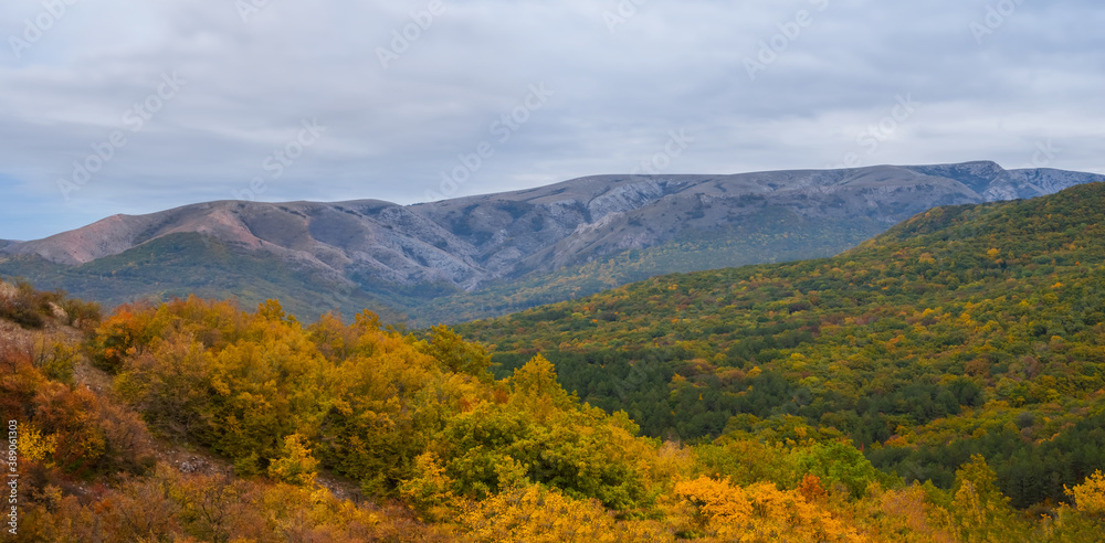 mountain valley with red autumn forest