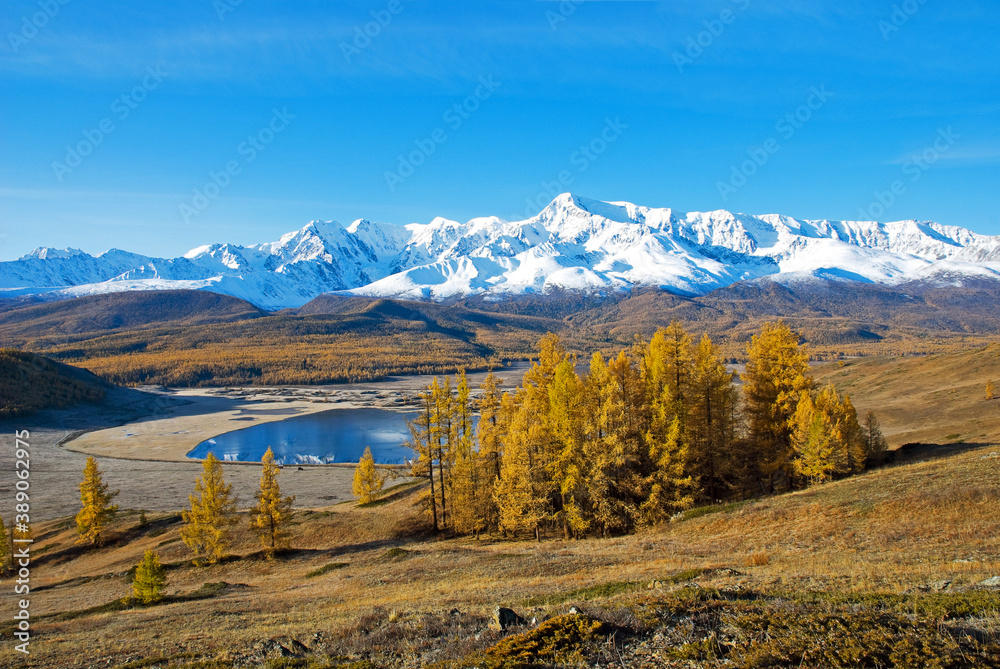 Golden autumn in Altai, view of Lake Dzhangyskol and the North-Chuya ridge