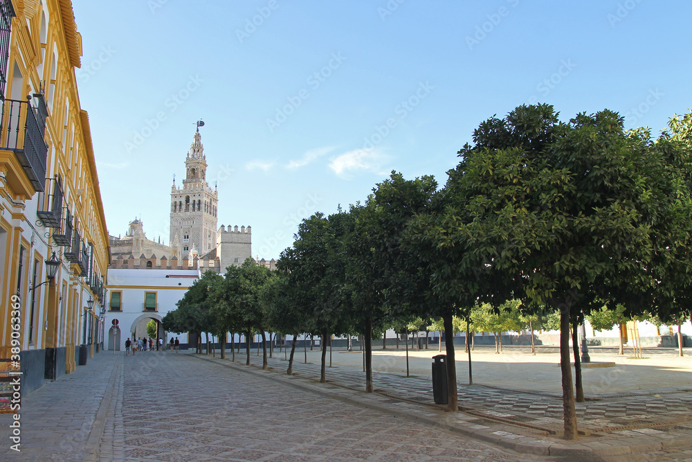 Obraz premium Patio of flags square of the Alcazar of Seville, near the Seville Cathedral and Royal Alcázars, August 20, 2020.