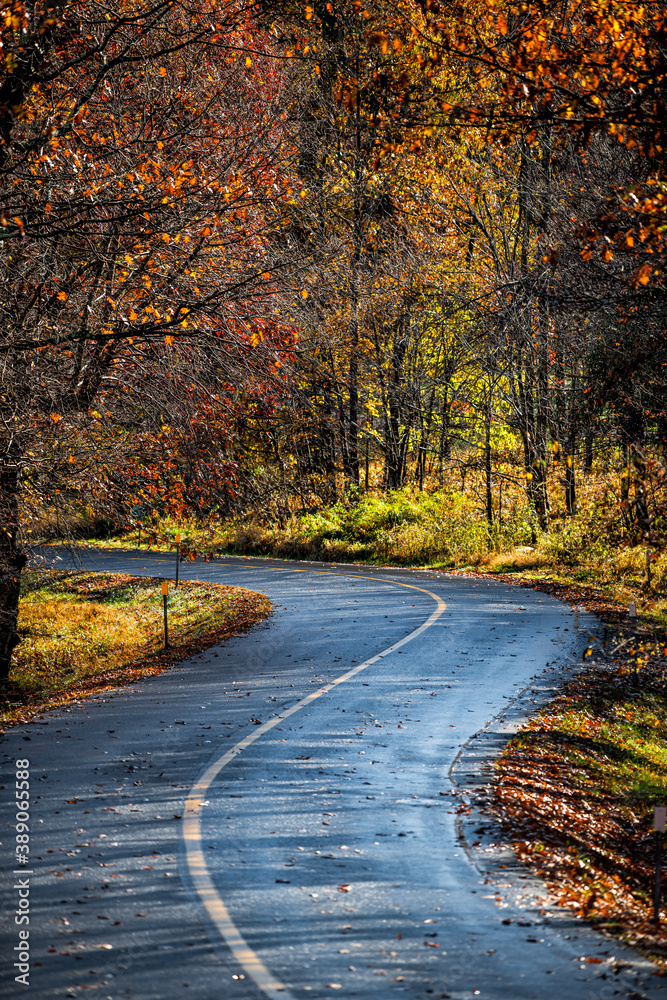 Colorful yellow orange red foliage in autumn fall season on Fawn Ridge drive in Wintergreen Virginia with paved asphalt curvy winding road driving point of view