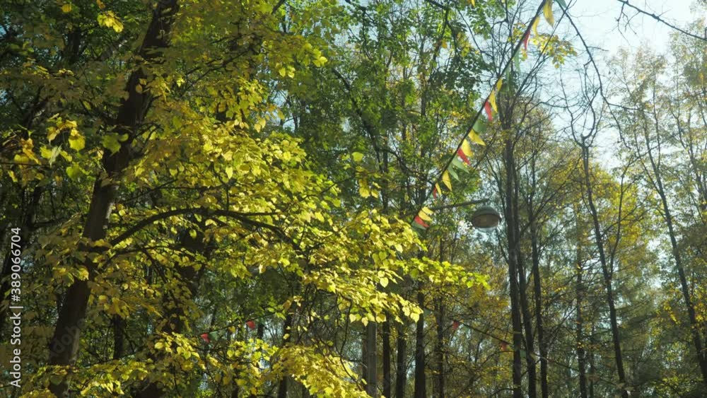 autumn landscape in the Park, with waving tree branches autumn landscape in the Park, with waving tree branches