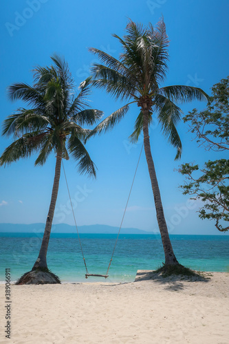 Swing between two palm trees. Paradise beach, Leelah beach, Koh Phangan, Thailand, Asia