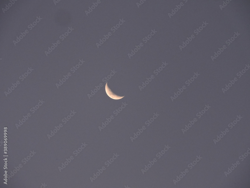 moon moon