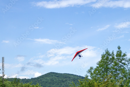 Bild auf Leinwand Hang gliding over the forest on a Sunny day in summer.