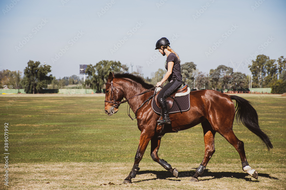 for a walk through the countryside with your competition equipped for horse riding for a walk through the countryside with your competition equipped for horse riding