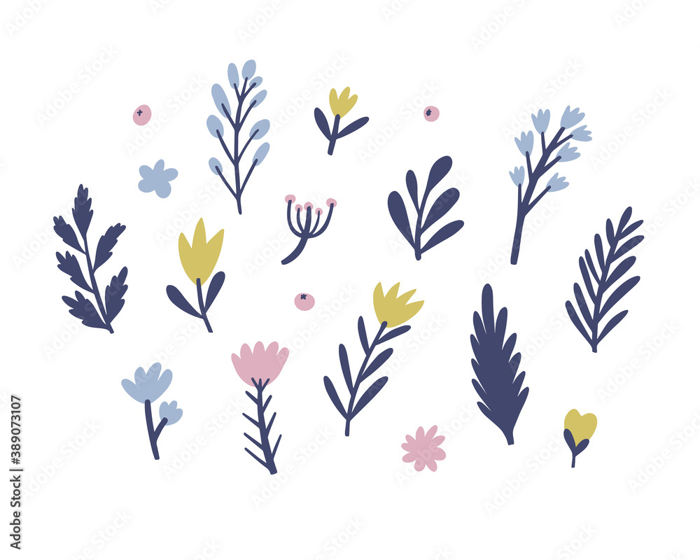 Set of abstract plants leaves and flowers isolated on white background. Vector illustration