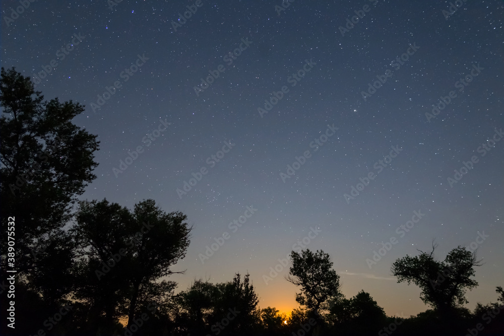 night starry sky above a forest silhouette, night outdoor background night starry sky above a forest silhouette, night outdoor background
