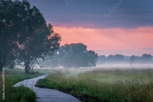 Sunrise over the meadow in the morning fog. Morning sunrise. Conditions of poor visibility. Natural landscape. Weather. Synoptic. Weather forecast © RafalDlugosz