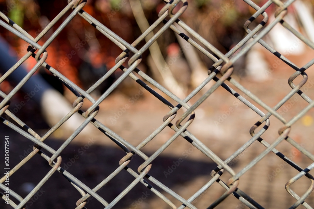 Fototapeta premium Close-up metal grill fence netting. Chain Link Fence with wild background