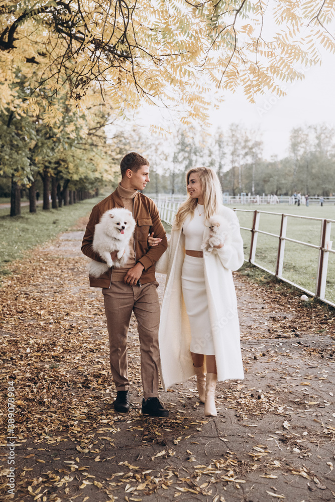 Beautiful young couple in autumn walks with dogs, pomeranian, in the park Beautiful young couple in autumn walks with dogs, pomeranian, in the park