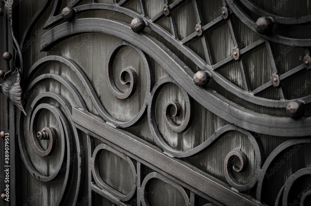 Rustic metal gates with forged elements, home protection in a retro style Rustic metal gates with forged elements, home protection in a retro style