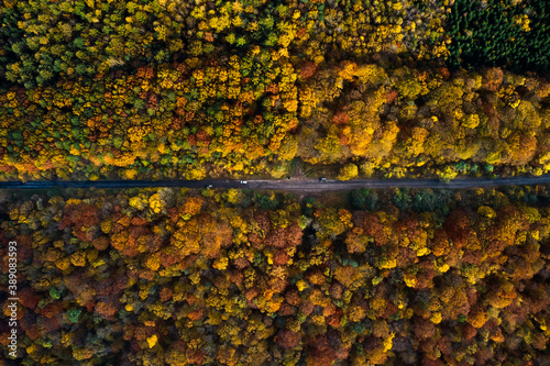 Beautiful aerial autumn forest with roadway