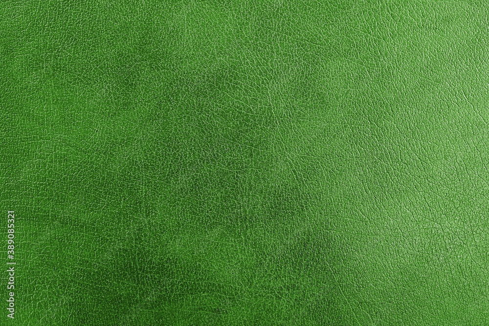 Fototapeta premium Green natural leather, close-up, isolated background for design