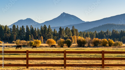 Fall Color at Sunset with Mountain on Ranch on Farm in Autumn with Horses photo