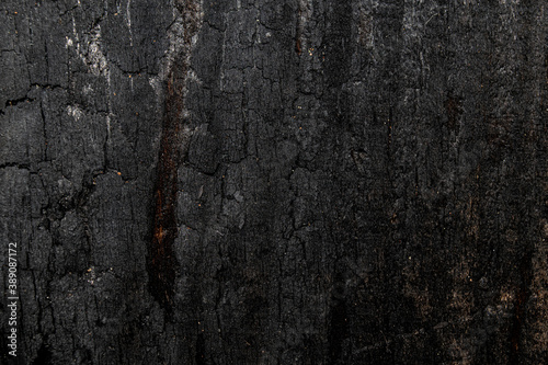 Black burned plank of wood texture with pattern 