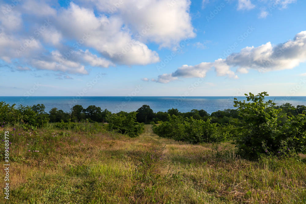 landscape with sky