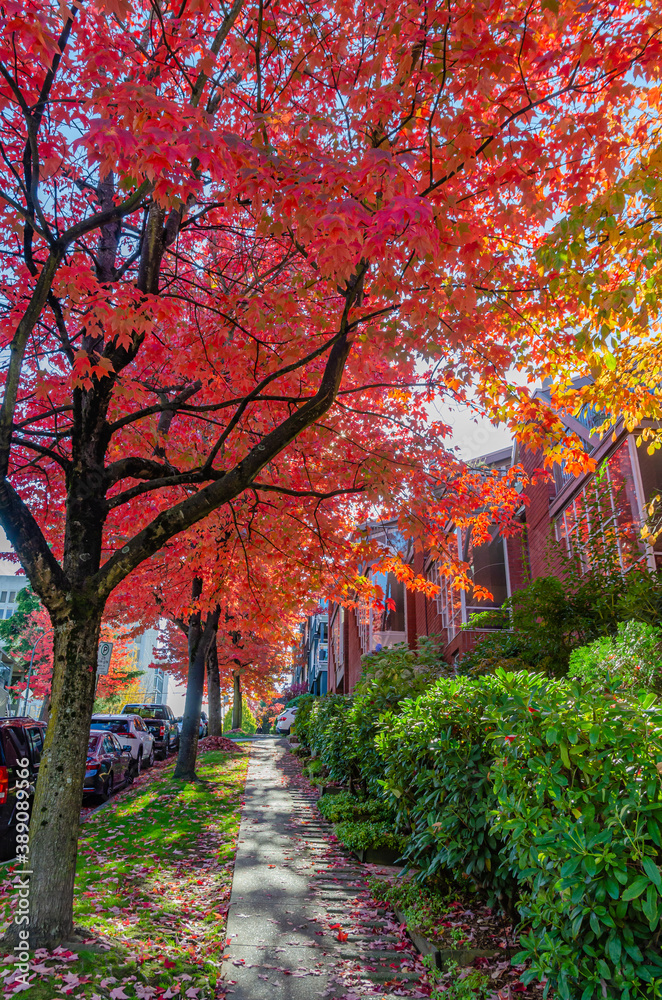 Autumn Leaves Autumn Leaves