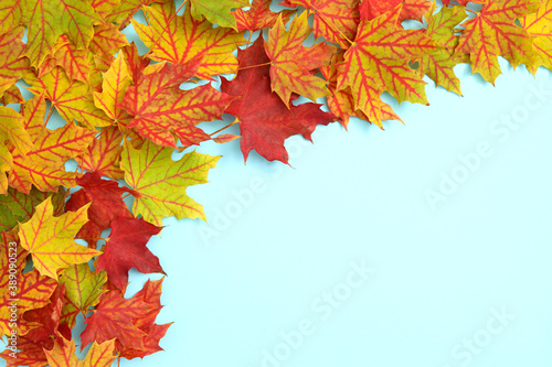 Autumn background with copy space ideal for tekst in design