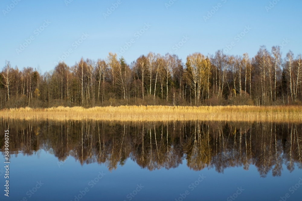 Autumn forest with leafless leaves is reflected in the water of the lake. The concept of a private holiday. Photophone