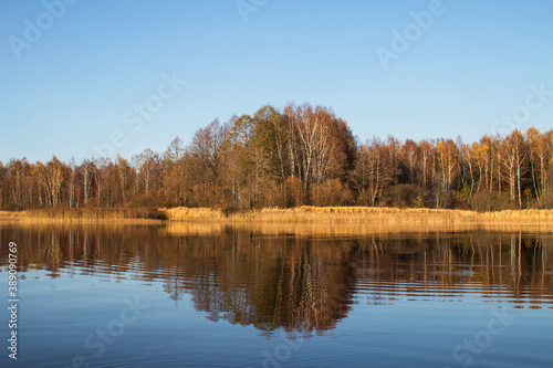 The autumn forest is reflected in the water surface of the lake. The concept of a quiet, private holiday during the coronavirus pandemic. Horizontal orientation