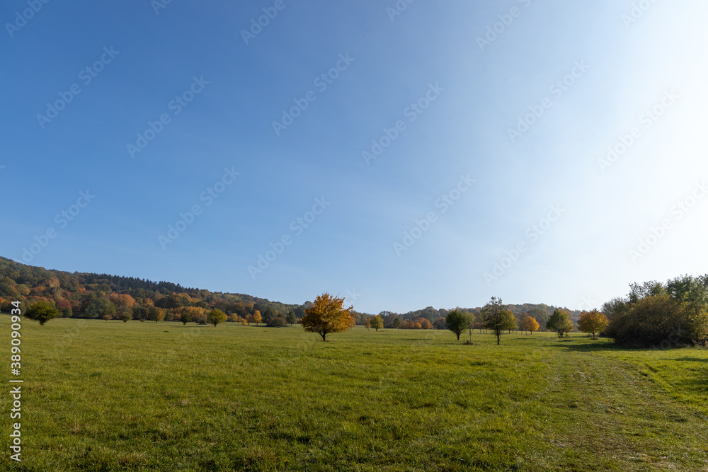 Autumn nature with clear sky