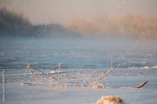 frosty morning, frozen river, forest in the distance
