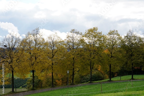 Autumn scenery, a hiking path bordered by trees with yellow golden foliage. Dramatic cloudscape on the background.