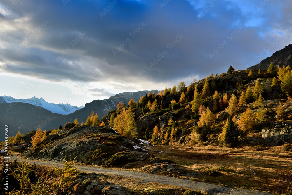 Fototapeta premium Colors of the autumn In Valmalenco valley