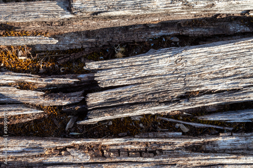 Wooden Pattern Background Wooden Pattern Background