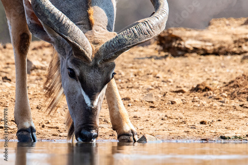 Photography Relief on a hot South African Afternoon