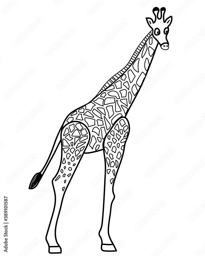 Wild animal giraffe. Black and white vector illustration for coloring book Stock Vector | Adobe ...