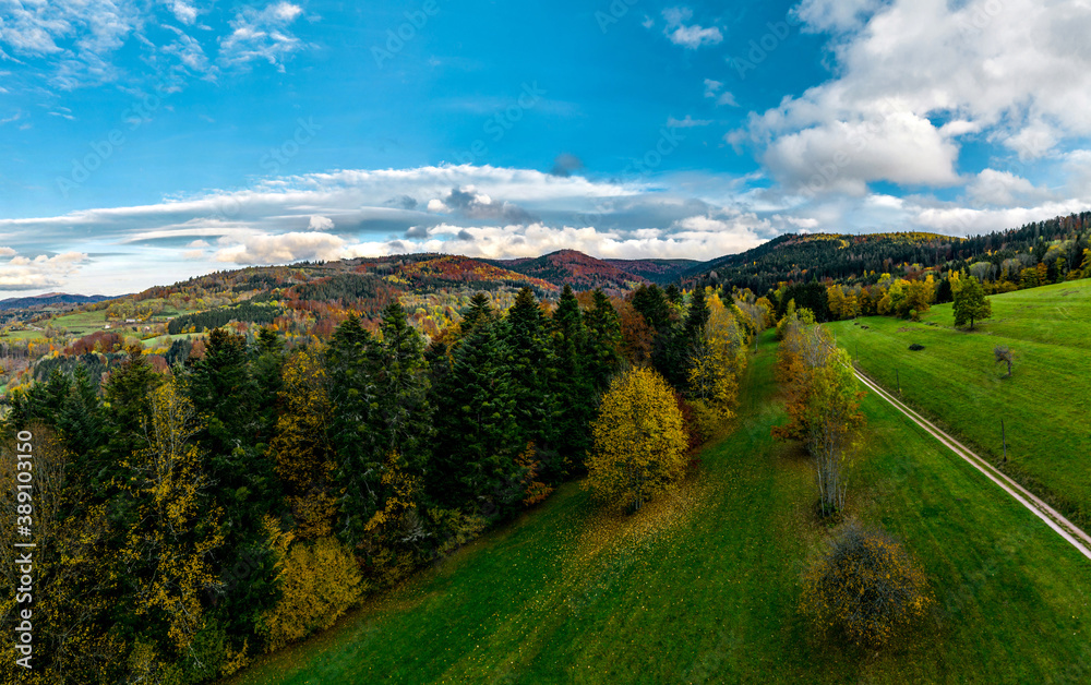 Obraz premium A drone rises above a multi-colored valley in the Vosges. Panoramic view.
