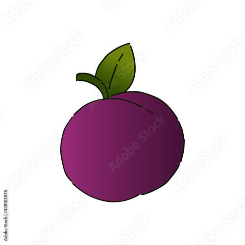 illustration of an plum fruit