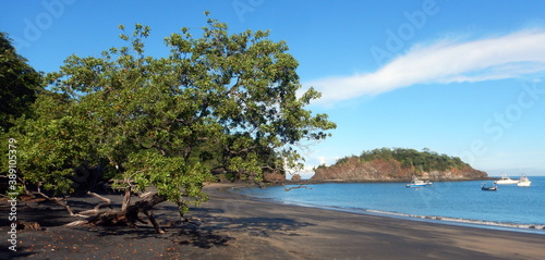 Costa Rica Pacific sea life